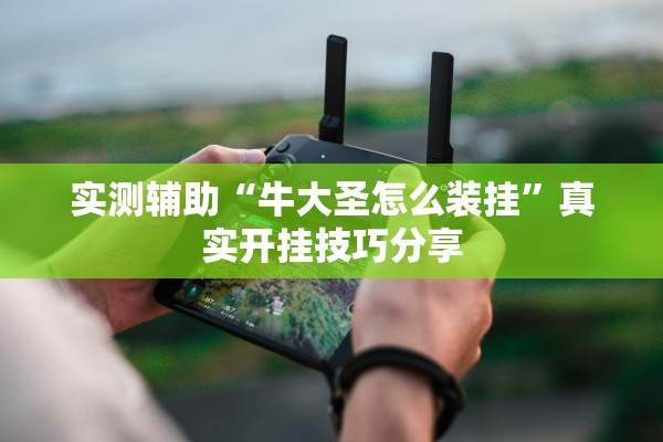 实测辅助“牛大圣怎么装挂	”真实开挂技巧分享