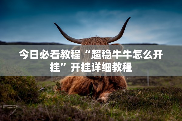 今日必看教程“超稳牛牛怎么开挂”开挂详细教程