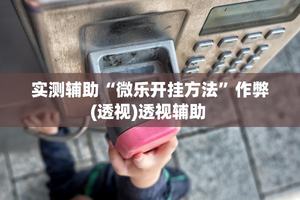 实测辅助“微乐开挂方法”作弊(透视)透视辅助 