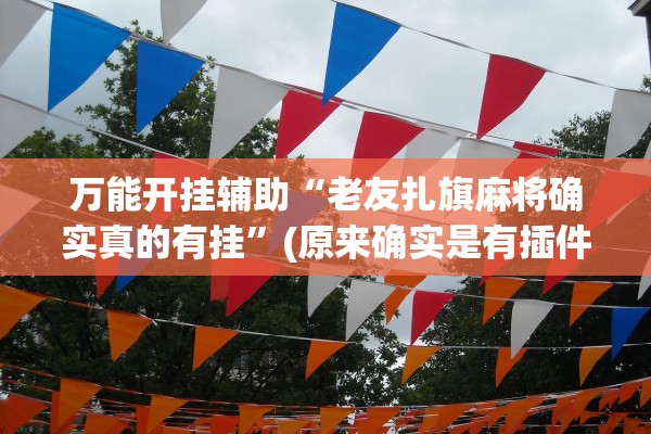 万能开挂辅助“老友扎旗麻将确实真的有挂	”(原来确实是有插件) 