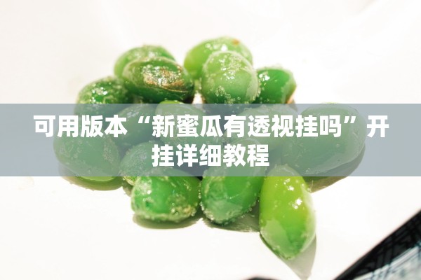 可用版本“新蜜瓜有透视挂吗”开挂详细教程