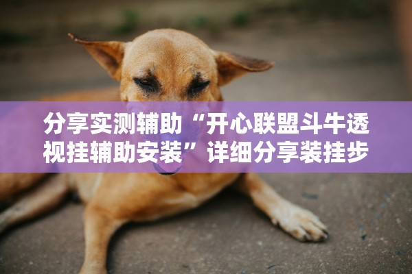 分享实测辅助“开心联盟斗牛透视挂辅助安装”详细分享装挂步骤教程