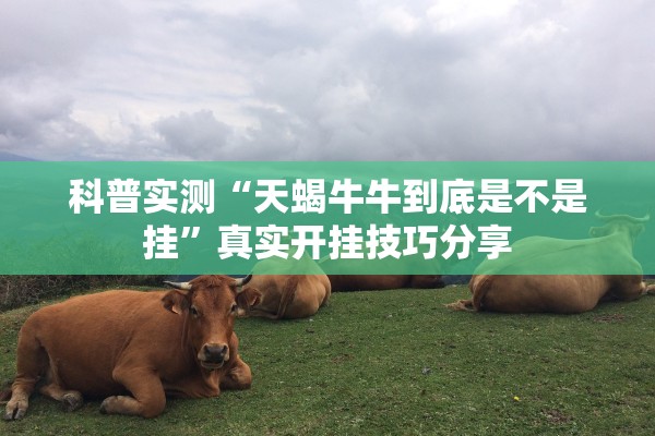 科普实测“天蝎牛牛到底是不是挂”真实开挂技巧分享