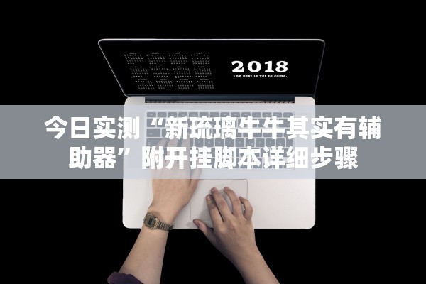 今日实测“新琉璃牛牛其实有辅助器”附开挂脚本详细步骤
