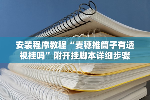 安装程序教程“麦穗推筒子有透视挂吗”附开挂脚本详细步骤