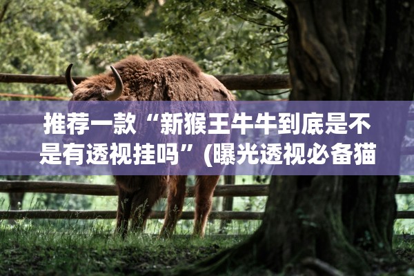 推荐一款“新猴王牛牛到底是不是有透视挂吗”(曝光透视必备猫腻)