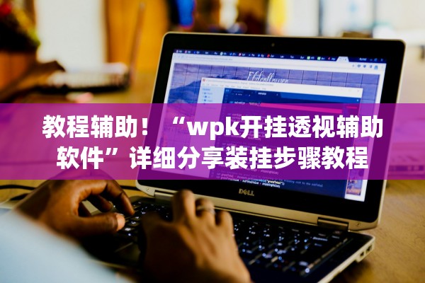 教程辅助！“wpk开挂透视辅助软件”详细分享装挂步骤教程