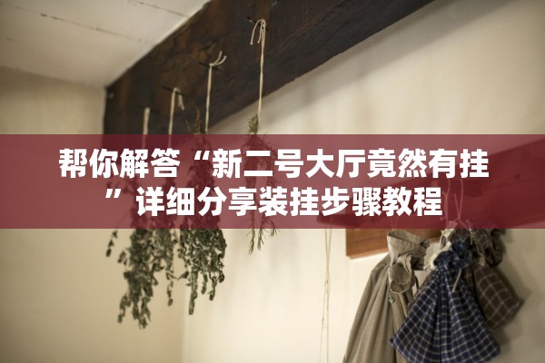 帮你解答“新二号大厅竟然有挂”详细分享装挂步骤教程