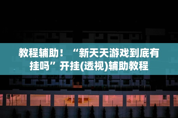 教程辅助！“新天天游戏到底有挂吗”开挂(透视)辅助教程