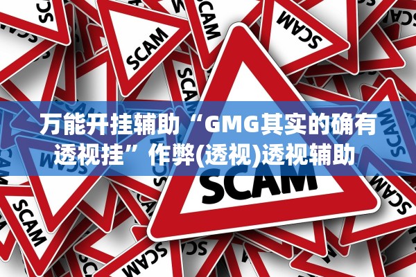 万能开挂辅助“GMG其实的确有透视挂”作弊(透视)透视辅助 