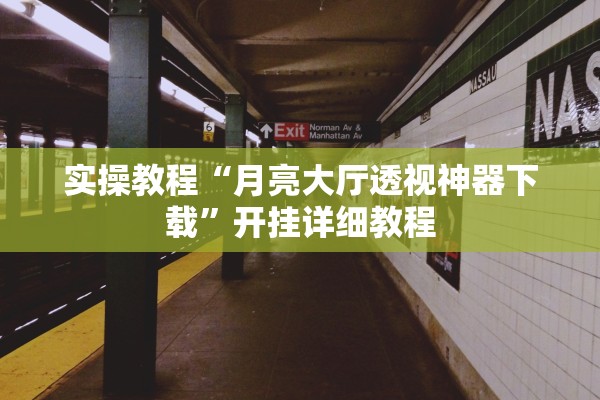 实操教程“月亮大厅透视神器下载”开挂详细教程