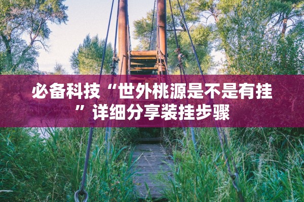 必备科技“世外桃源是不是有挂”详细分享装挂步骤