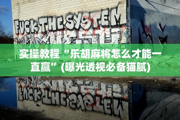 实操教程“乐胡麻将怎么才能一直赢	”(曝光透视必备猫腻)