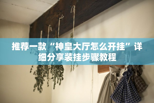 推荐一款“神皇大厅怎么开挂	”详细分享装挂步骤教程