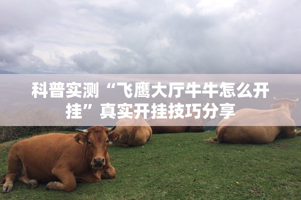 科普实测“飞鹰大厅牛牛怎么开挂”真实开挂技巧分享