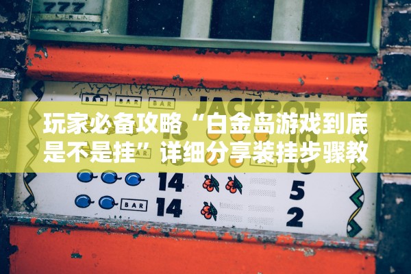 玩家必备攻略“白金岛游戏到底是不是挂”详细分享装挂步骤教程