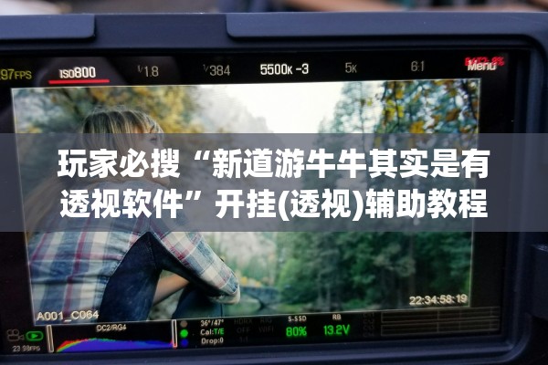 玩家必搜“新道游牛牛其实是有透视软件	”开挂(透视)辅助教程