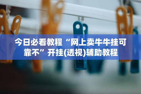 今日必看教程“网上卖牛牛挂可靠不	”开挂(透视)辅助教程