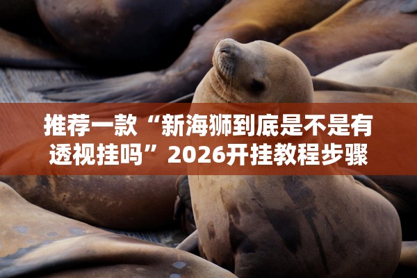 推荐一款“新海狮到底是不是有透视挂吗”2026开挂教程步骤