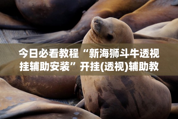 今日必看教程“新海狮斗牛透视挂辅助安装	”开挂(透视)辅助教程