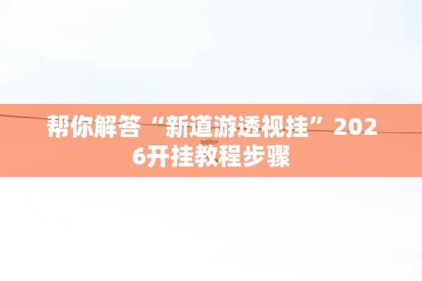 帮你解答“新道游透视挂”2026开挂教程步骤
