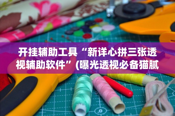 开挂辅助工具“新详心拼三张透视辅助软件”(曝光透视必备猫腻)