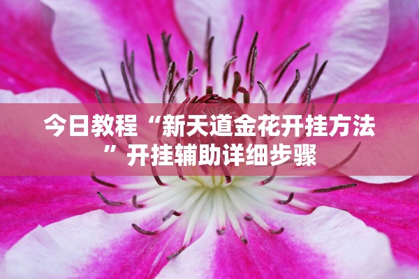 今日教程“新天道金花开挂方法	”开挂辅助详细步骤