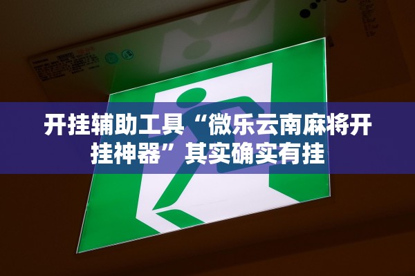 开挂辅助工具“微乐云南麻将开挂神器”其实确实有挂