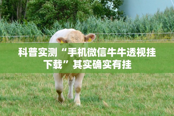 科普实测“手机微信牛牛透视挂下载	”其实确实有挂