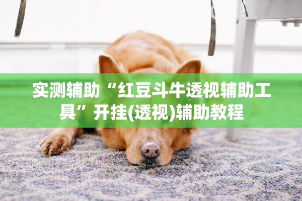 实测辅助“红豆斗牛透视辅助工具”开挂(透视)辅助教程