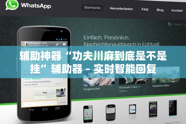 辅助神器“功夫川麻到底是不是挂	”辅助器 – 实时智能回复