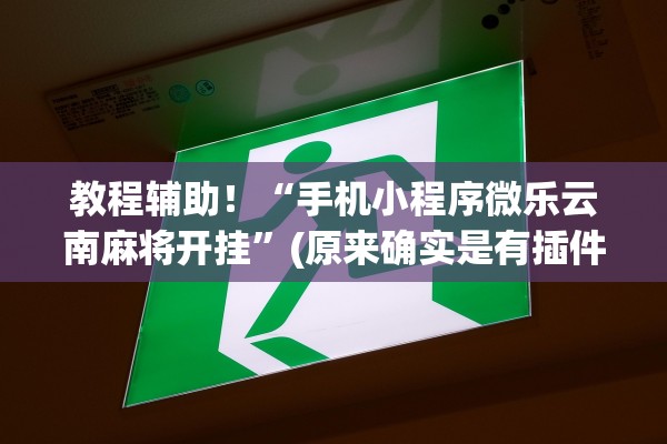 教程辅助！“手机小程序微乐云南麻将开挂”(原来确实是有插件)