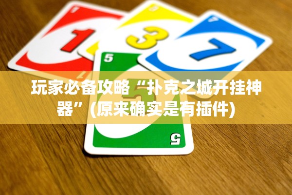 玩家必备攻略“扑克之城开挂神器	”(原来确实是有插件)