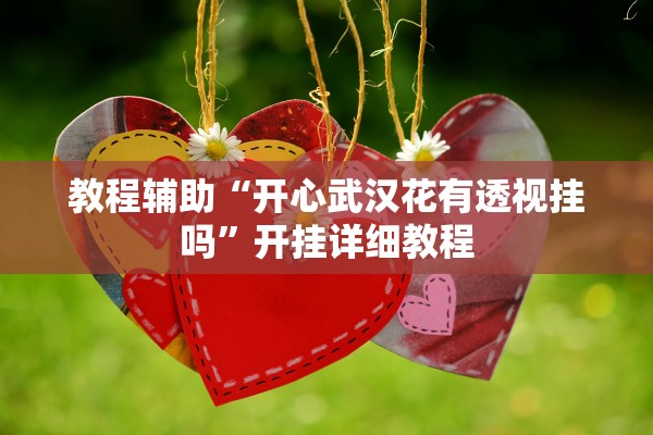 教程辅助“开心武汉花有透视挂吗”开挂详细教程