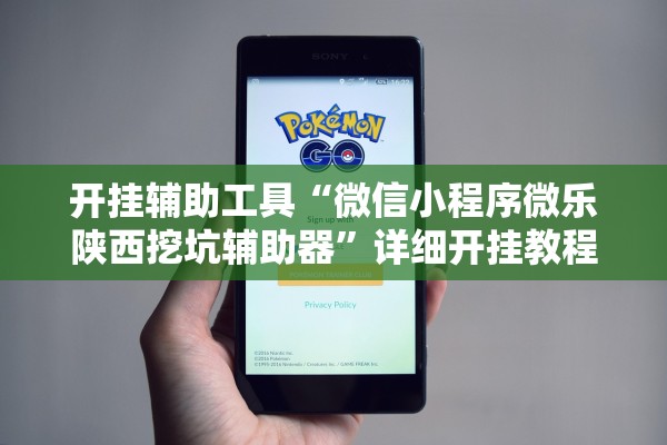 开挂辅助工具“微信小程序微乐陕西挖坑辅助器”详细开挂教程