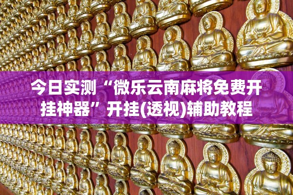 今日实测“微乐云南麻将免费开挂神器”开挂(透视)辅助教程