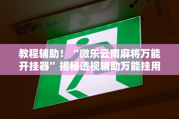 教程辅助！“微乐云南麻将万能开挂器”揭秘透视辅助万能挂用法