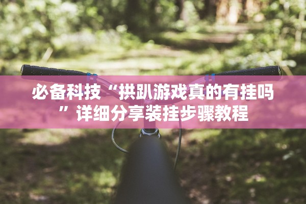 必备科技“拱趴游戏真的有挂吗”详细分享装挂步骤教程