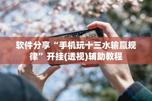 软件分享“手机玩十三水输赢规律”开挂(透视)辅助教程