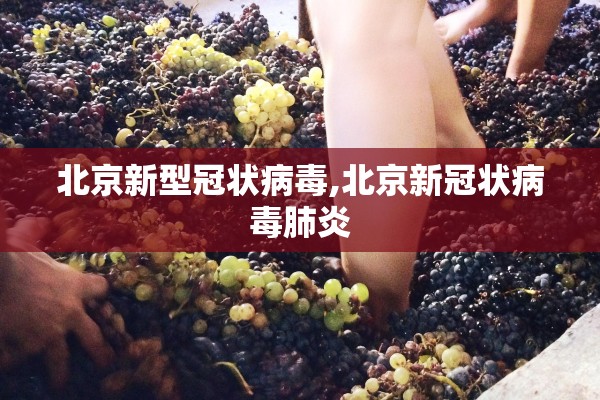 北京新型冠状病毒,北京新冠状病毒肺炎 北京新型冠状病毒,北京新冠状病毒肺炎
