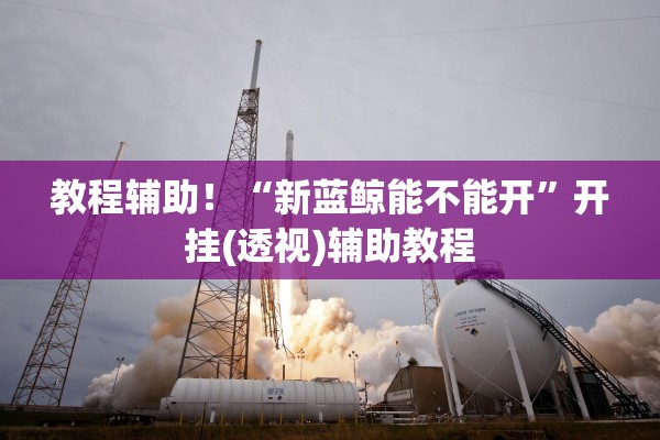 教程辅助！“新蓝鲸能不能开	”开挂(透视)辅助教程