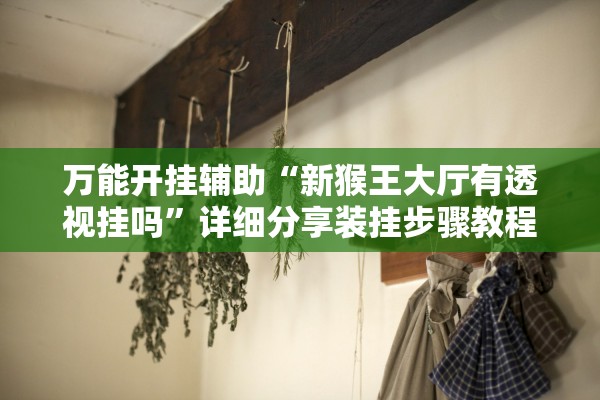 万能开挂辅助“新猴王大厅有透视挂吗”详细分享装挂步骤教程