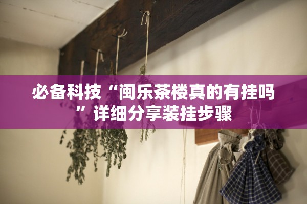 必备科技“闽乐茶楼真的有挂吗”详细分享装挂步骤