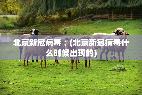 北京新冠病毒︰(北京新冠病毒什么时候出现的)