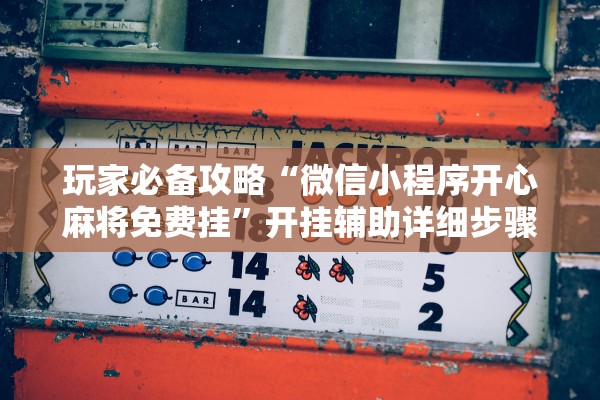 玩家必备攻略“微信小程序开心麻将免费挂”开挂辅助详细步骤