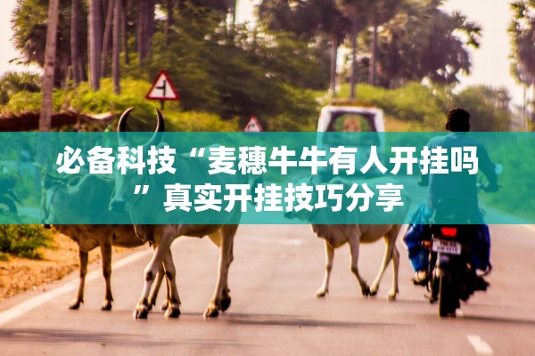 必备科技“麦穗牛牛有人开挂吗”真实开挂技巧分享