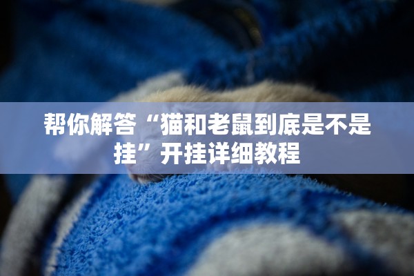 帮你解答“猫和老鼠到底是不是挂”开挂详细教程