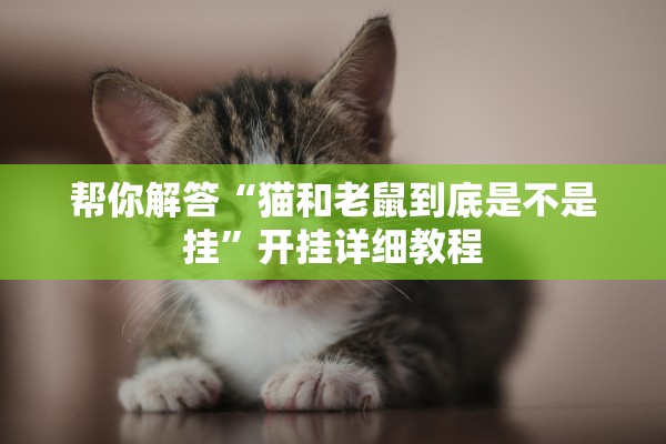 帮你解答“猫和老鼠到底是不是挂	”开挂详细教程
