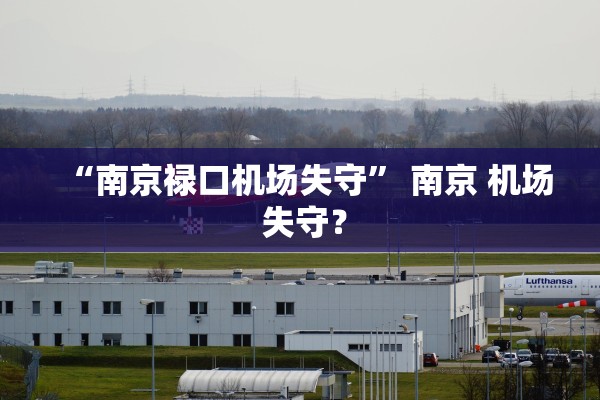 “南京禄口机场失守	” 南京 机场 失守？