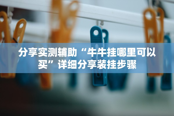 分享实测辅助“牛牛挂哪里可以买	”详细分享装挂步骤